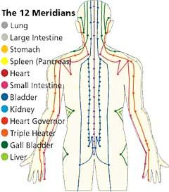 12 Meridians of the body