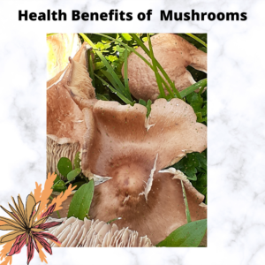 Nutritional mushrooms provide and abundance of protection for the immune system.  By adding different kinds of mushrooms you will enhance the immune system immensely.