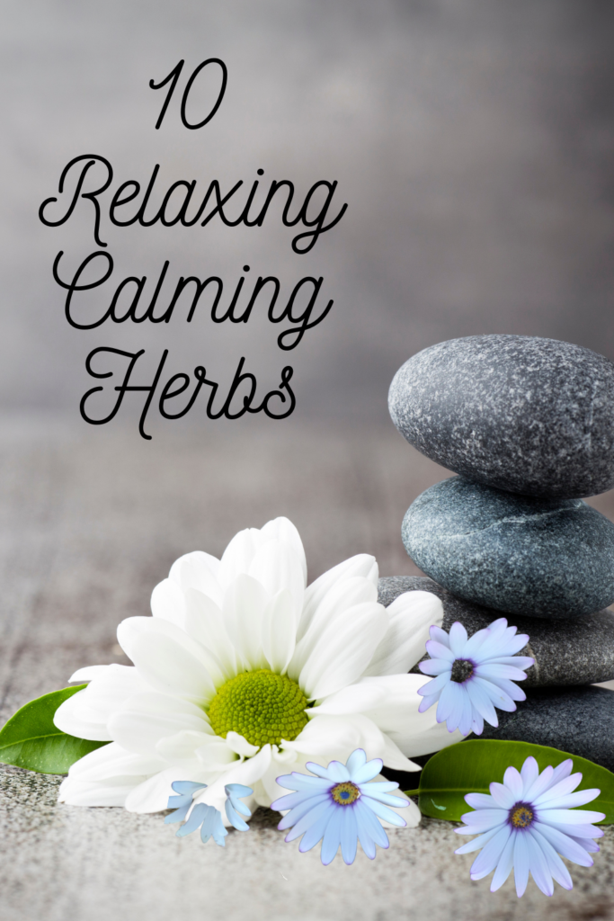 Natural Calming Herbs to relax  your Nerves.  There are many relaxing herbs but I have chosen the most common ones.  Try some and find the ones best for you.