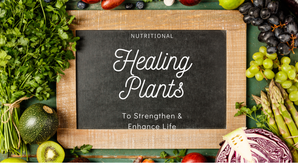 Natural Health Books to help us learn how to prevent illness.  Learn how to get better nutrition and live a healthier life.