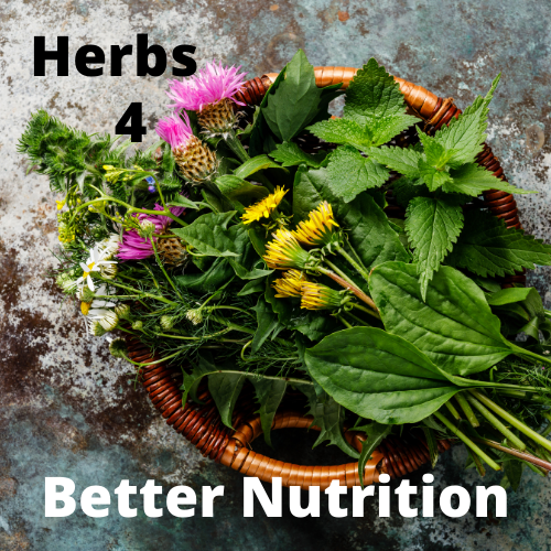 Herb for better nutrition and healing.  A holistic approach to health will lead to a better way of life.